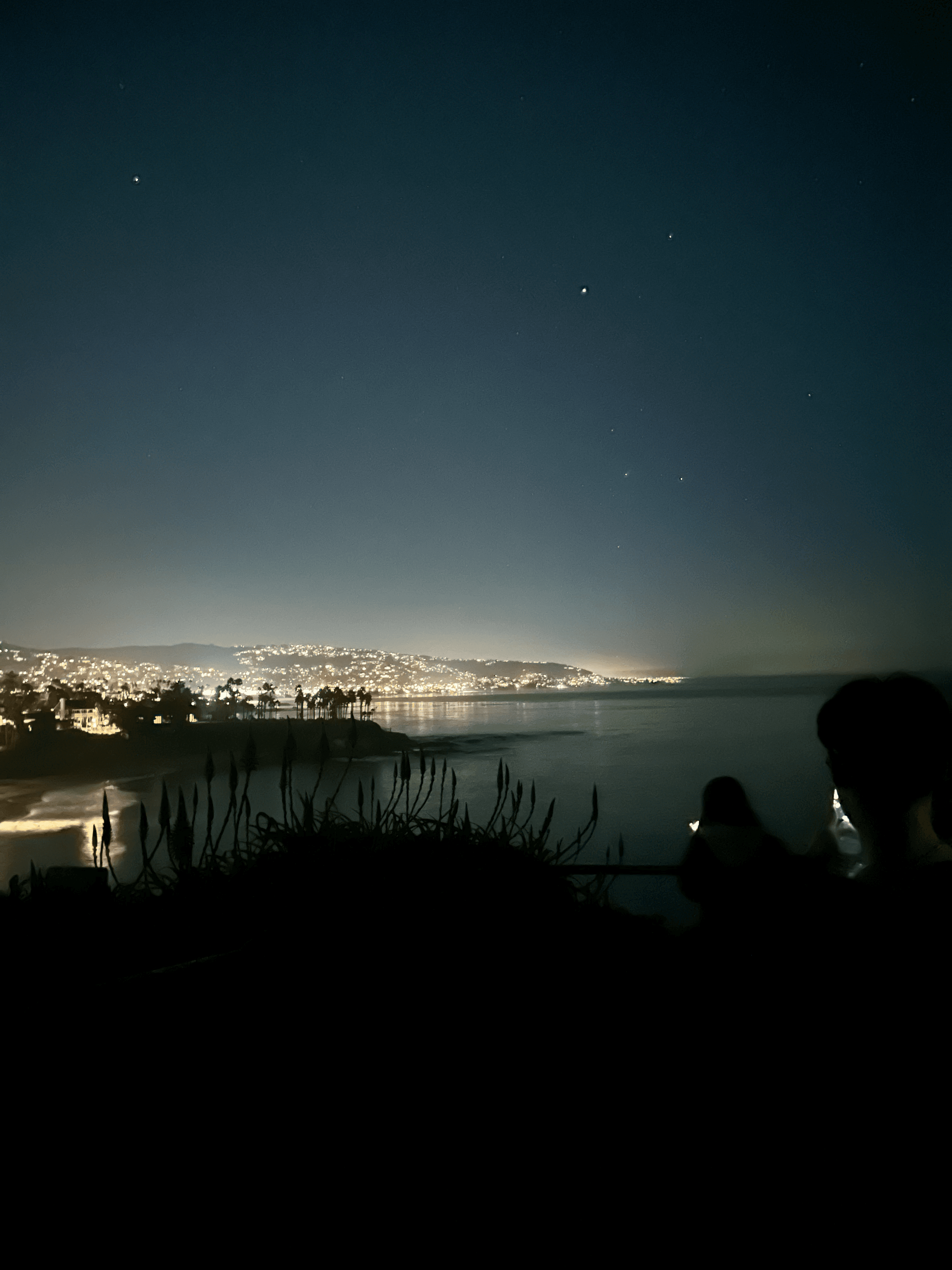 The Laguna Spot
